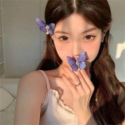 海豚的故事2